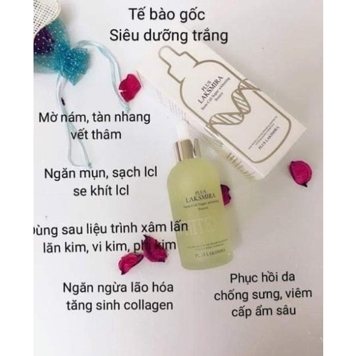 [Hoả Tốc] Tế bào gốc Plus Laksmira siêu dưỡng trắng Hàn Quốc - SANTA | BigBuy360 - bigbuy360.vn
