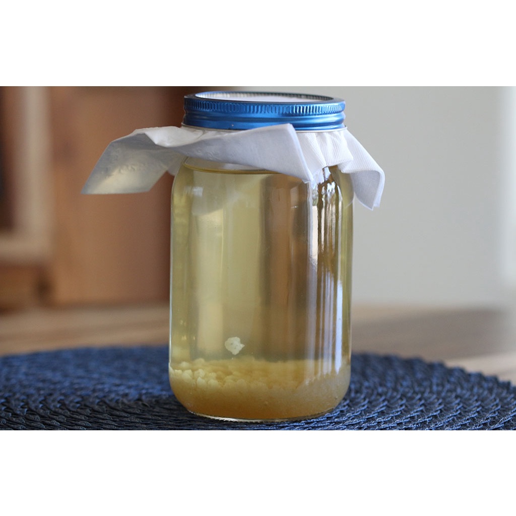 Nấm nước - Water Kefir