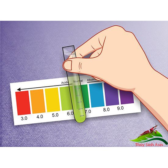 Dung Dịch Kiểm Tra pH cho hồ cá (Hàng Công Ty)