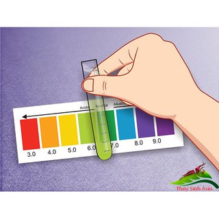 Dung Dịch Kiểm Tra pH - Đo Test pH cho hồ cá cảnh (Hàng Công Ty)