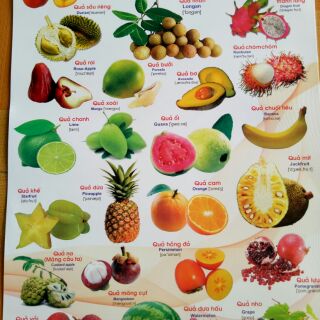 Tranh treo tường cho bé 12 chủ đề