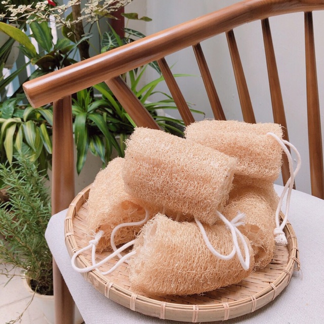 XƠ MƯỚP hàng tuyển xuất khẩu- NATURE LOOFAH