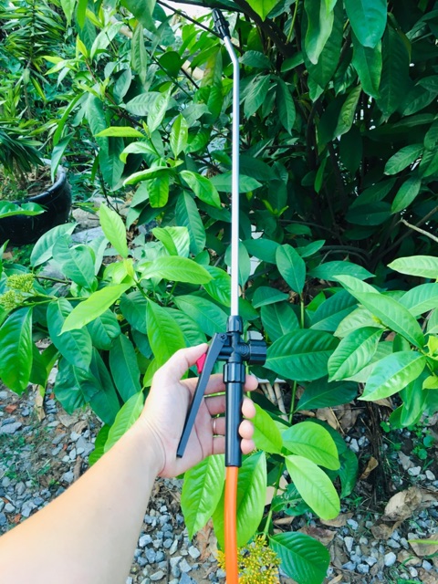 Bình xịt 10 lít Bình Minh cam kết chính hãng 100%