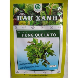 Hạt giống húng quế lá to - gói 5 gram