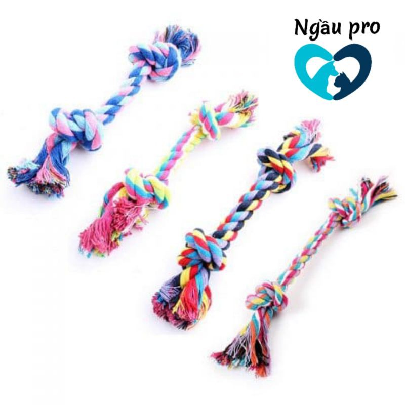 Đồ chơi dây thừng huấn luyện Chó poodle, corgi, husky, lạp xưởng - Đồ cho chó cún gặm ngứa răng lợi giảm stress Ngaupet