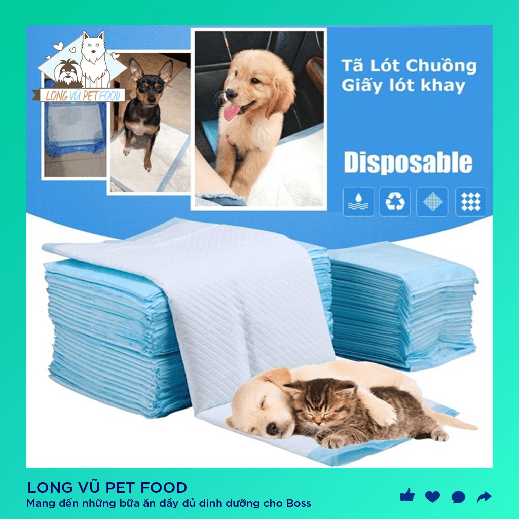 (Lẻ 1/2 bich) 50 miếng tã nhỏ 33x45cm lót khay vệ sinh nhỏ, lót chuồng chó, lót sàn xe - Long Vũ Pet Food