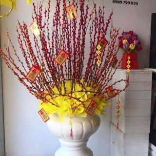 Combo nguyên liệu 150 cành tầm xuân 40 cm