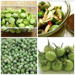 Hạt giống cà pháo xanh 30 hạt