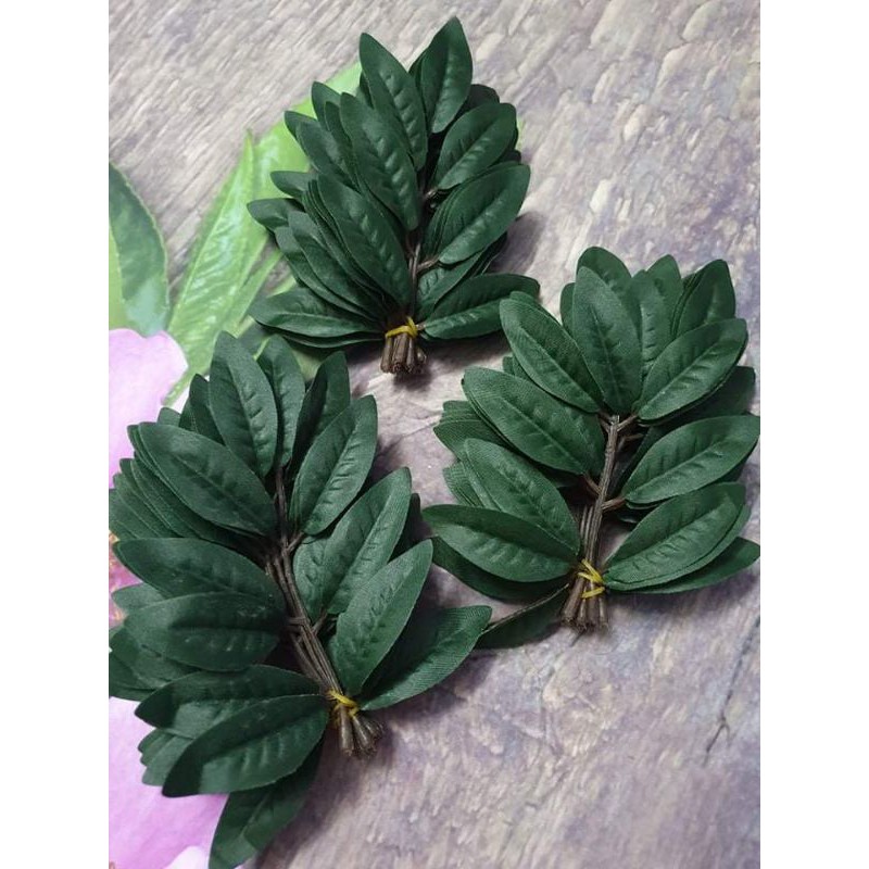 Combo 3 bó Lá bồ công anh