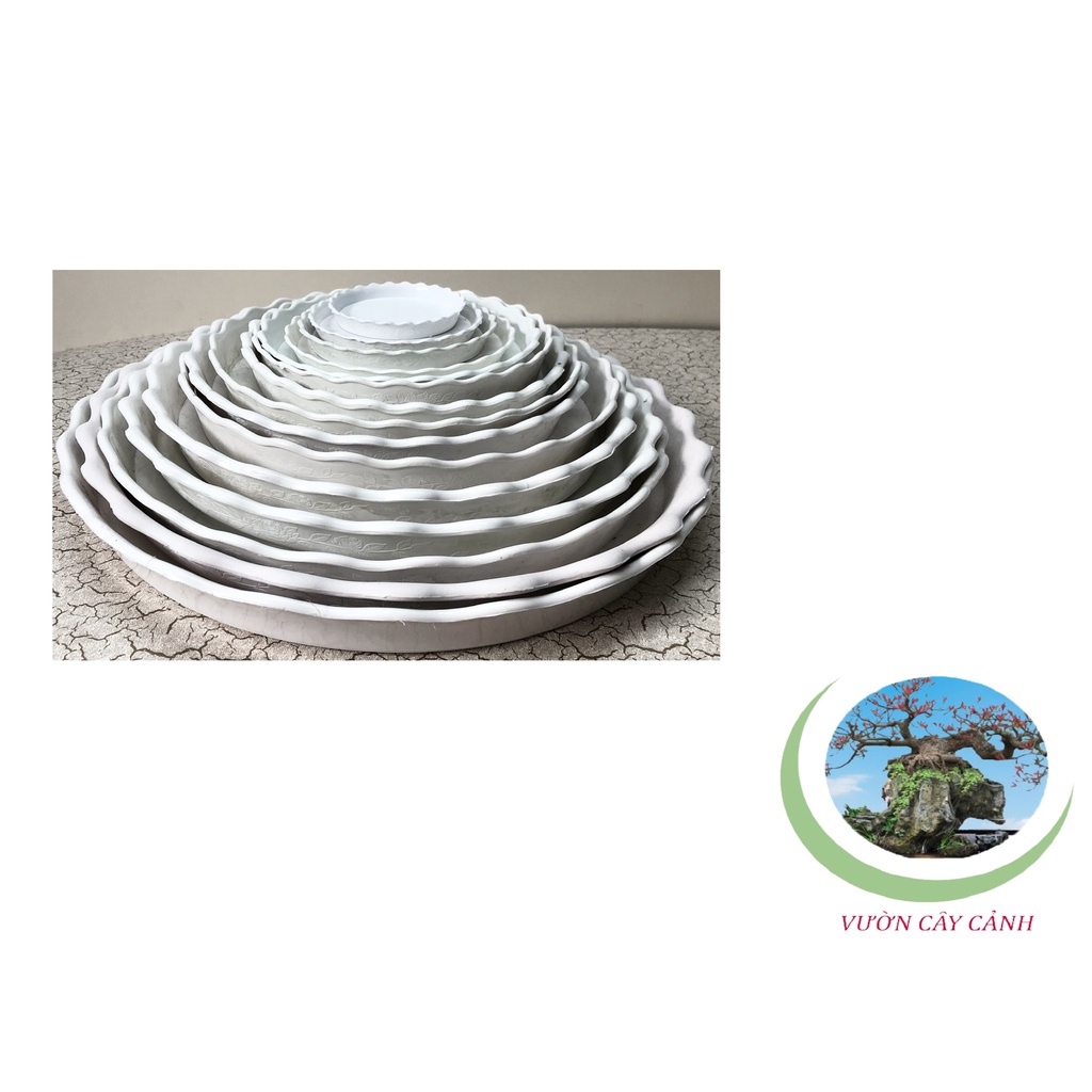 Đĩa lót chậu tròn khía Phi 8,5cm - #047C#