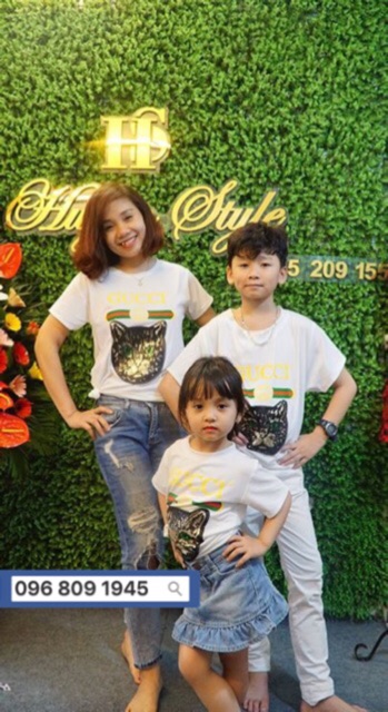 Mèo Kimsa set 3 mẹ con