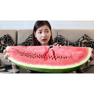 Hạt giống Dưa hấu khổng lồ F1