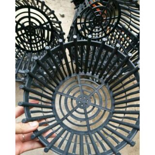 Chậu trồng lan có lan phụ rộng 20cm