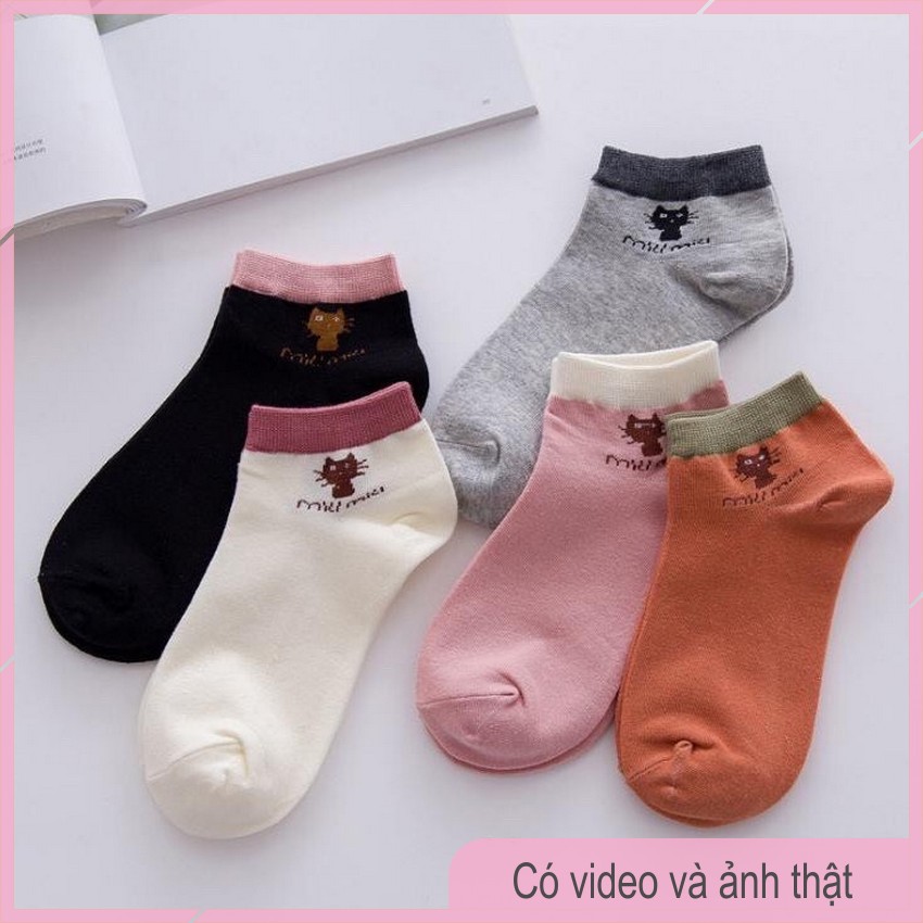 Sét 10 Đôi Tất Mèo Miu Miu Nữ Dễ Thương T03-THESHE