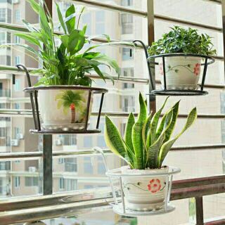 Giỏ treo cây cảnh bằng sắt ngoài ban công