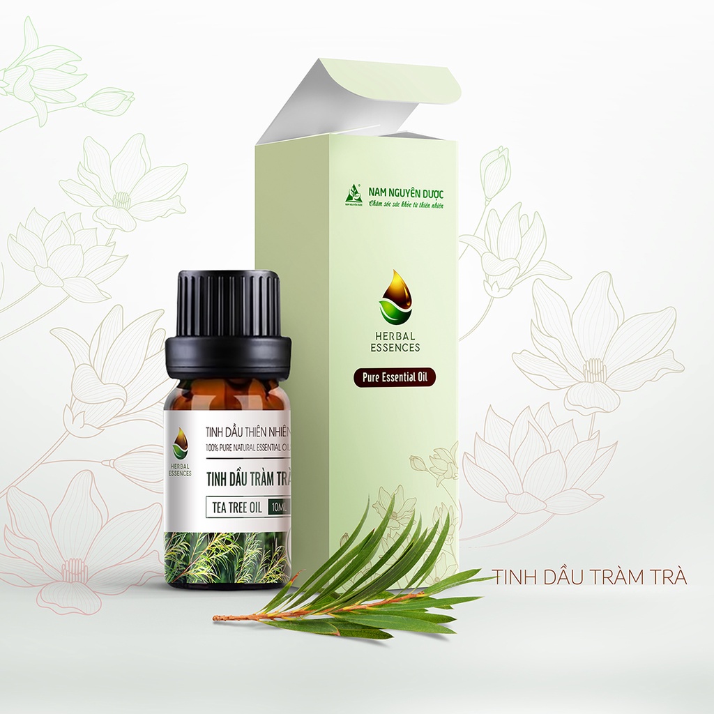 Tinh dầu Tràm Trà nguyên chất - Tea Tree Essential (10ml) NAM NGUYÊN DƯỢC