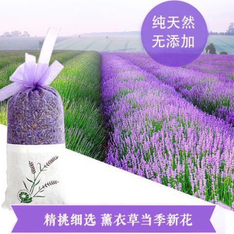 🌸🌸 TÚI THƠM LAVENDER về hàng 🌸🌸