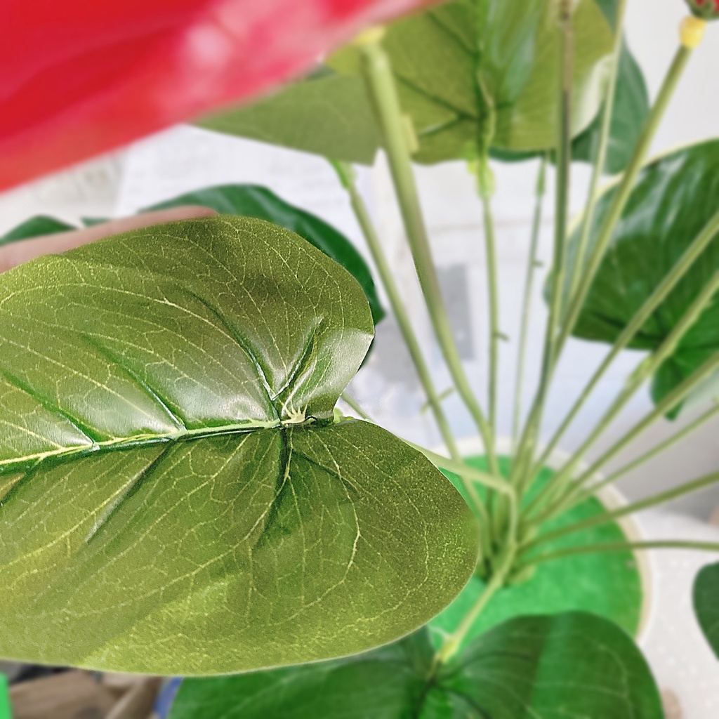 Cây Giả - Cây Hoa Hồng Môn Yến Lớn 8 Đầu Hoa Đỏ &amp; Lá - Cây Giả Trang Trí Nhà Cửa Lizflower