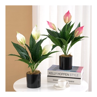 Hoa giả 🌺 cây hoa lan ý cao su 50cm