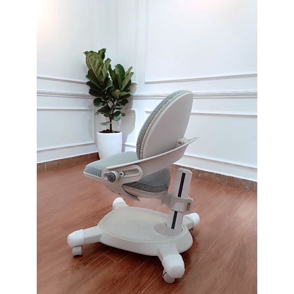 Ghế chống gù chống cận Ergonomic Crown C 02 plus