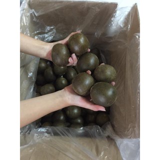 1 thùng la hán quả - Loại thùng 260 trái to không vỡ