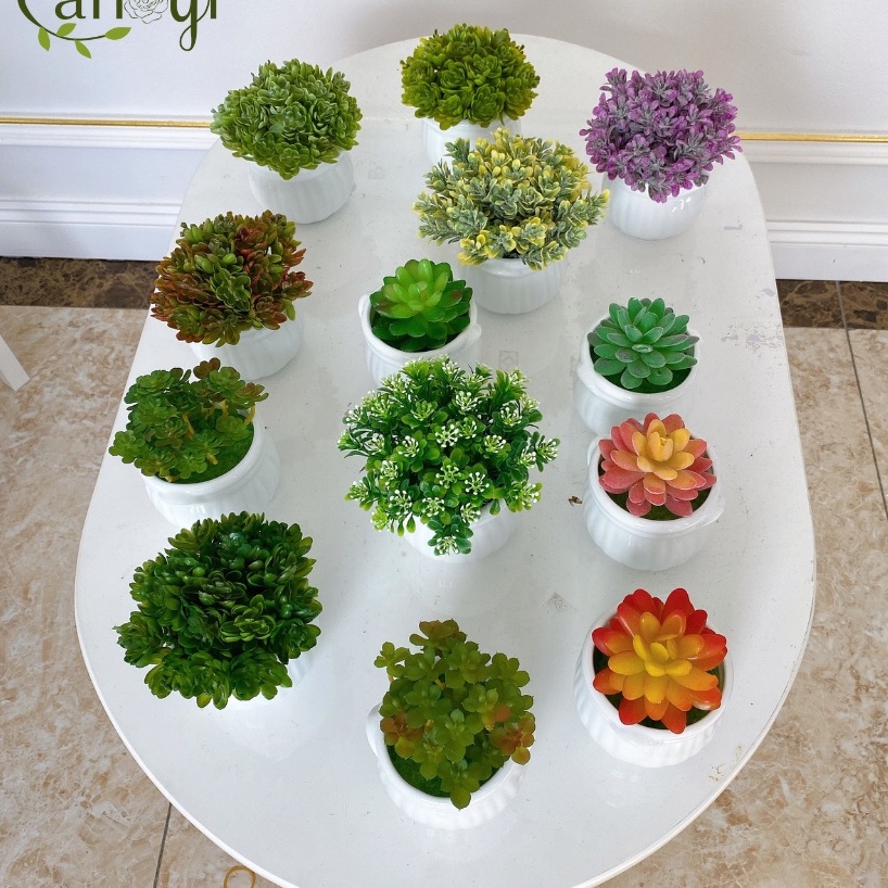 Chậu Nồi Sứ - Xương Rồng - Sen Đá Giả Cắm Sẵn Nhiều Mẫu (Đã bao gồm cả cây và chậu)