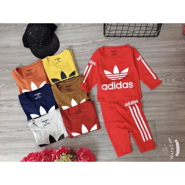 combo bôn cho be bon bon