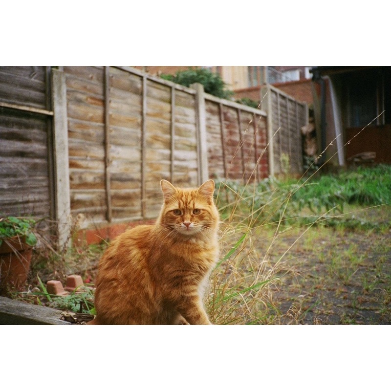 MÁY FILM KONICA C35 EF