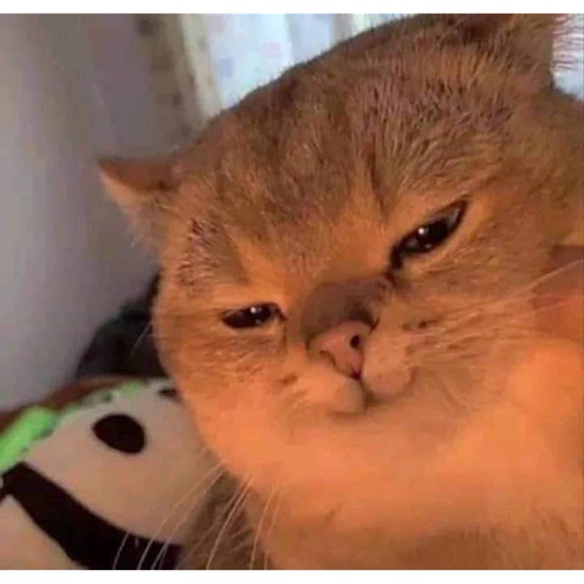 Tiệm order của XiaoYing