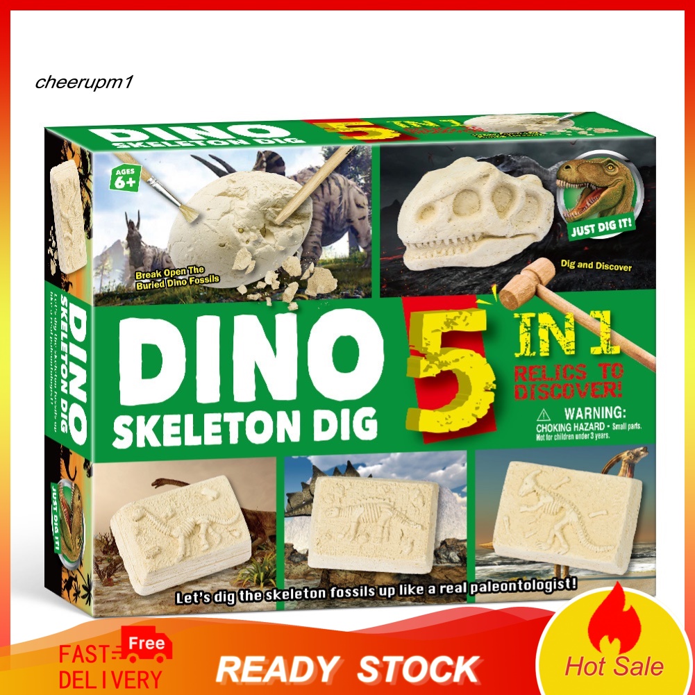 Bộ Xương Khủng Long Đồ Chơi 5 Trong 1 Cho Bé