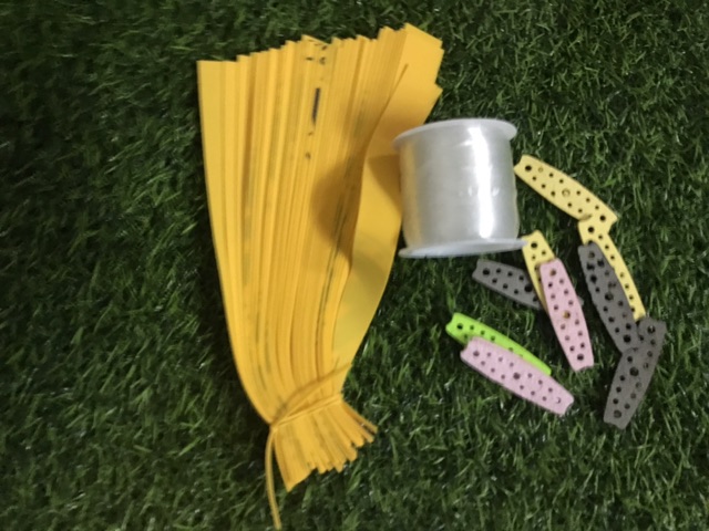 Combo 40 sợi chun AE band đủ kích thước tặng kèm 10 da và chun buộc
