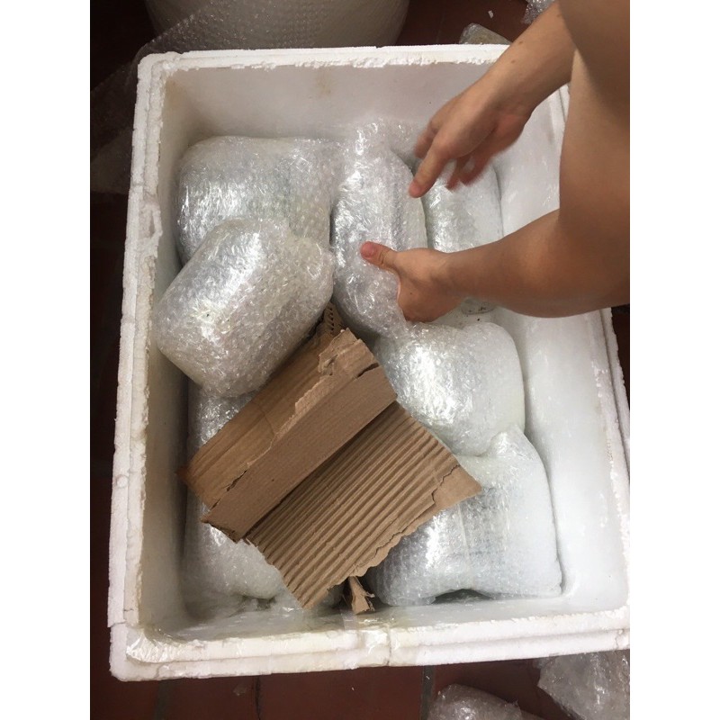 Bát Đĩa Sứ Trắng Cao Cấp đủ kích cỡ + đũa mạ vàng đĩa và bát to nhỏ tha hồ chọn( đủ 1 mâm cỗ ) | BigBuy360 - bigbuy360.vn