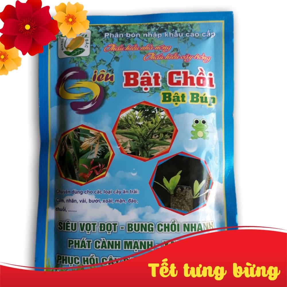 Phân bón lá Siêu bật chồi, Siêu vọt đọt bật búp Mango 200g