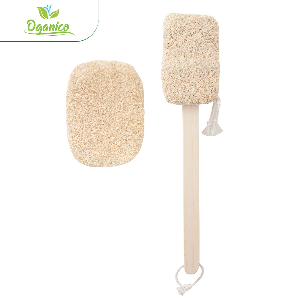Cây chà lưng xơ mướp handmade tắm, tẩy tế bào chết, massage body - Oganico