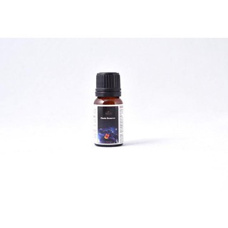 chai phục hồi nhụa nhám WILLF1 PLASTIC REMOVE