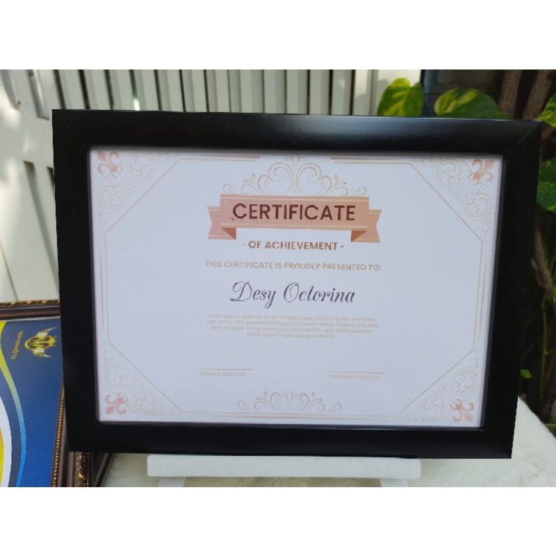 (mặt kính)khung bằng khen A4(21*30) | BigBuy360 - bigbuy360.vn