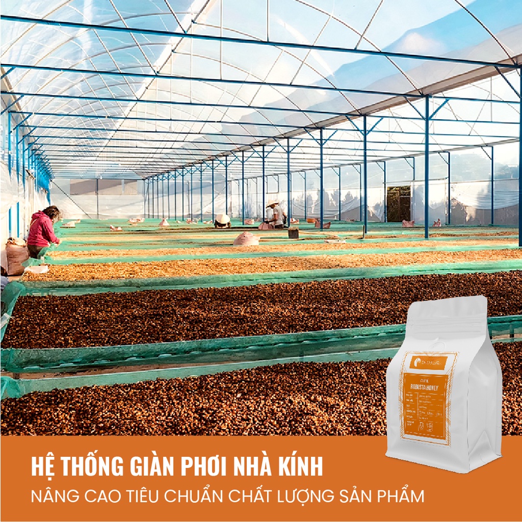 Cà phê Robusta Honey Gói 250gr/500gr, Cà phê nguyên chất 100% rang mộc - D&amp;D Kaffee