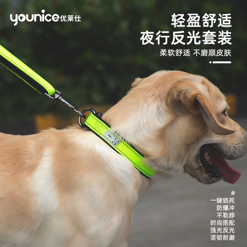 Vòng cổ cho chó nhỏ và lớn Chống đột quỵ Dây kéo áo vật nuôi xích Golden Retriever có thể điều chỉnh