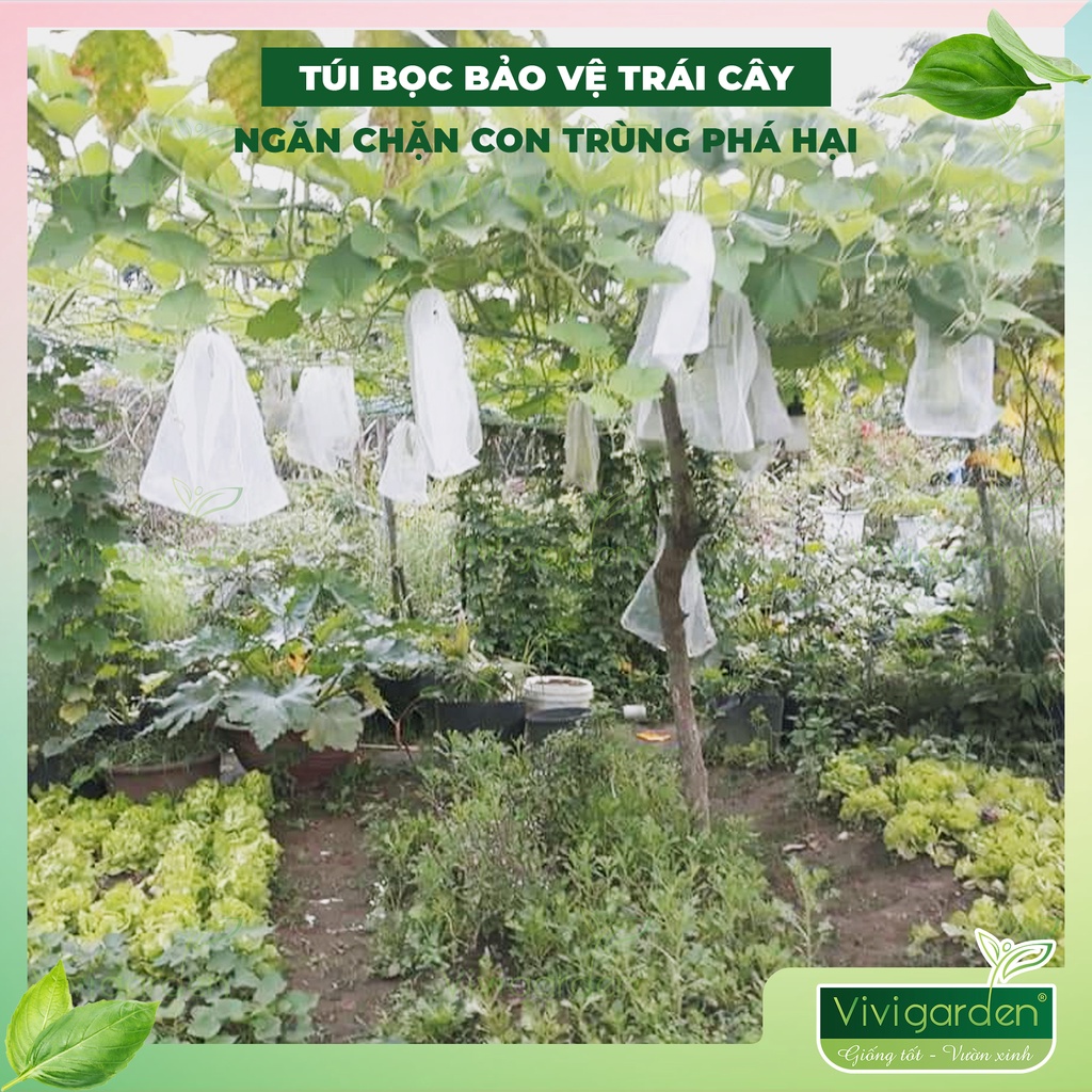 Combo 10 túi bọc trái dưa lê, dưa lưới, ổi, mướp, na.. túi bao trái cây có nhiều size có thể sử dụng được nhiều vụ