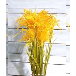 Combo 100 cành lúa giả