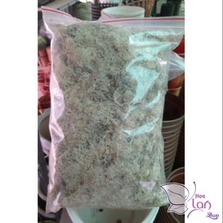 Dớn Trắng Chile 200G - Giữ Ẩm Cực Tốt Cho Lan [Nhập Khẩu]