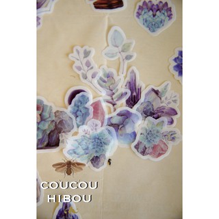 EMERALD MATTE STICKER🌿🌿   bộ sticker 40 miếng