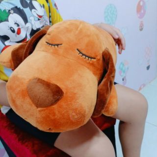 Gấu bông con chó hình thật dài 60cm