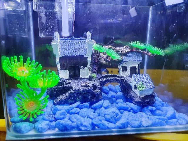 COMBO HỒ CÁ TRANG TRÍ SẴN 26x17x19cm 690