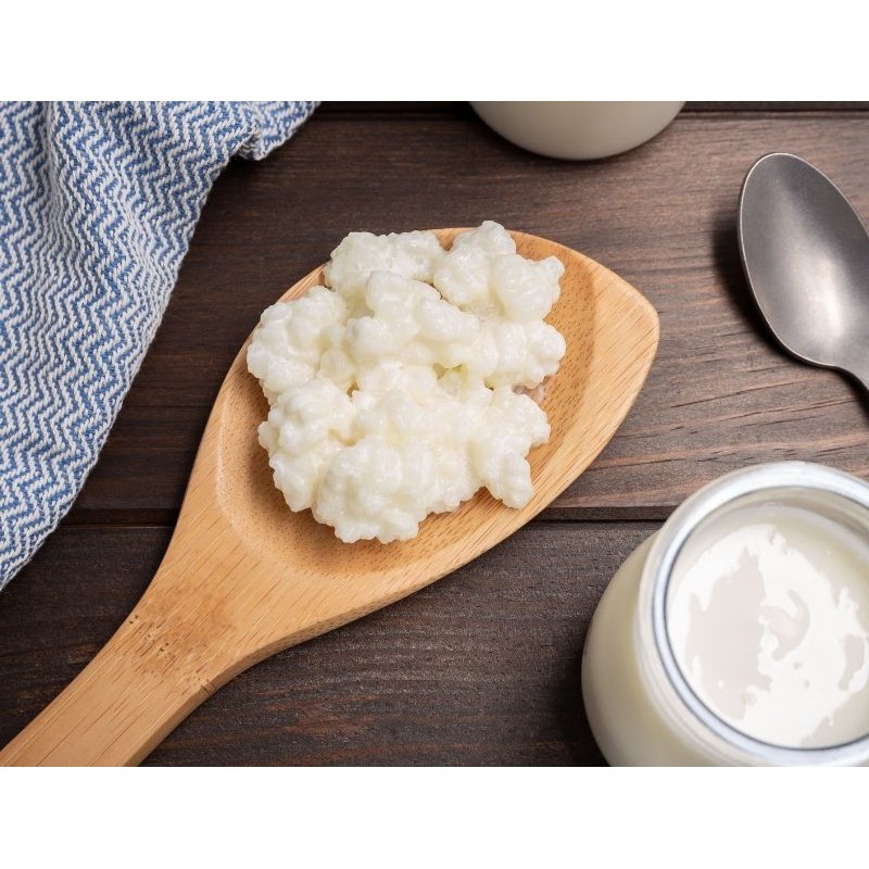Nấm sữa lên men Kefir Milk Nấm làm sữa chua Kefir Milk thực phẩm organic Kefir Milk | BigBuy360 - bigbuy360.vn