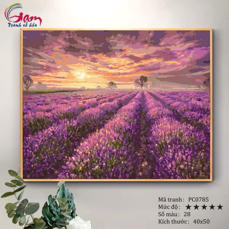 Tranh sơn dầu tự tô theo số Đồng hoa oải hương Lavender PC0785