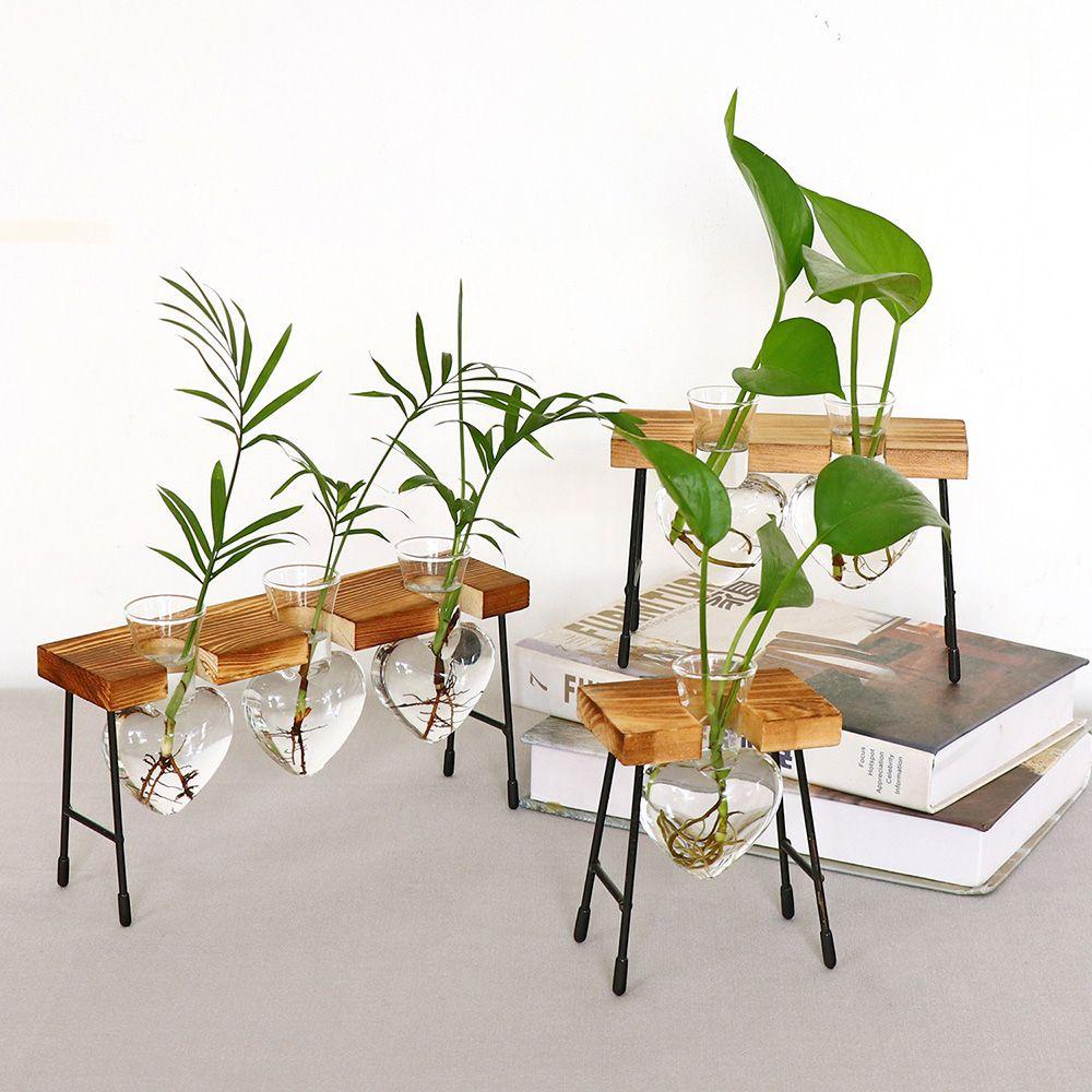 Chậu Cây Thủy Canh Khung Gỗ Sáng Tạo Trang Trí Nhà Cửa
