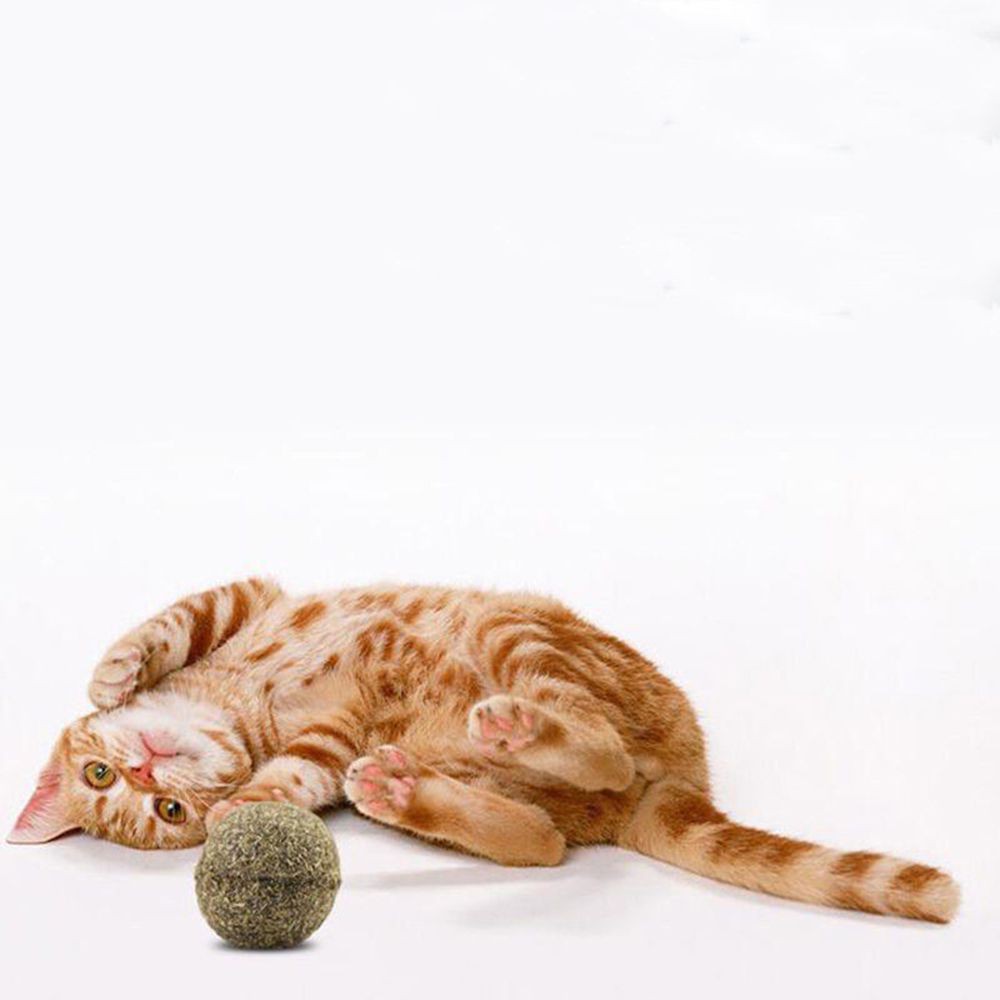 Quả bóng đồ chơi cho mèo phủ cỏ bạc hà - Lida Pet Shop