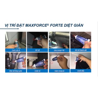 Diệt Gián Dạng Bả Maxforce Forte (20g)