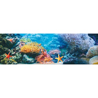Tranh nền dán hồ cá 3D Aqua 038 theo yêu cầu-  kích thước  170 x 55 cm